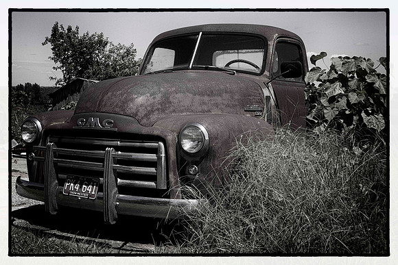 Overgrown treasure