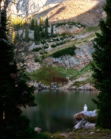 reflection