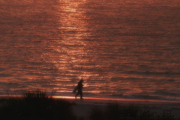 Florida Solitude