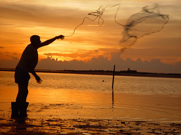 Catching bait in Florida