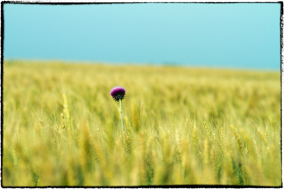 Being Different